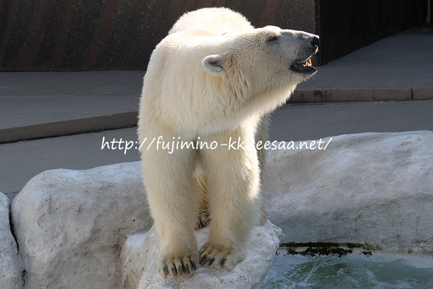 上野動物園