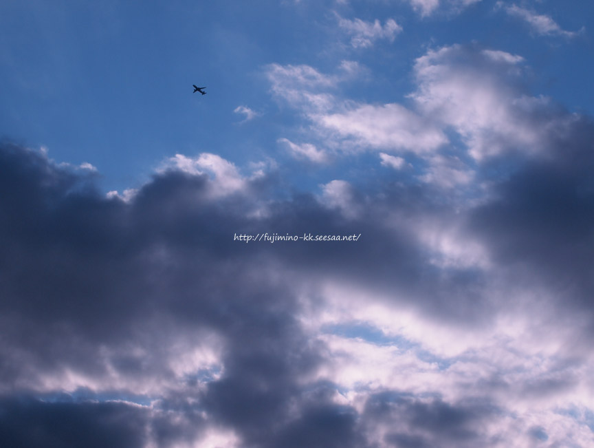 秋空01.jpg