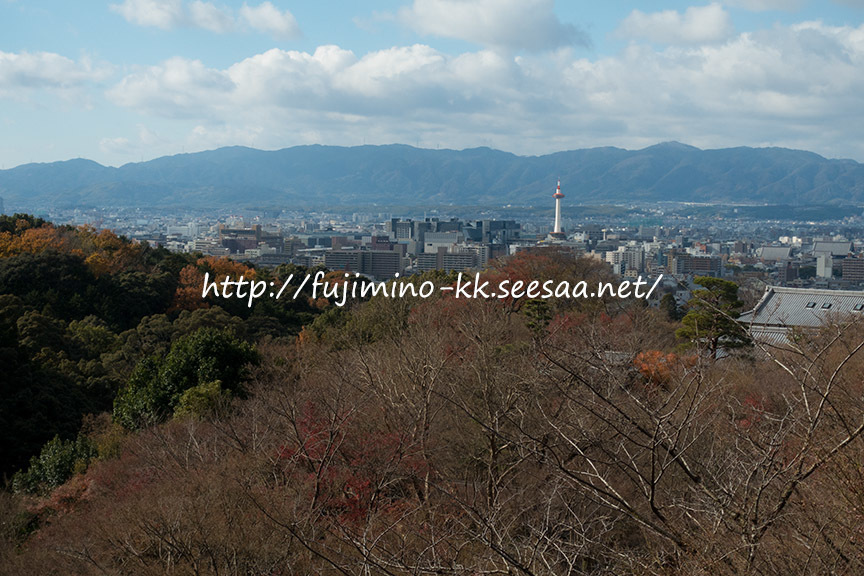 京都市内を望む