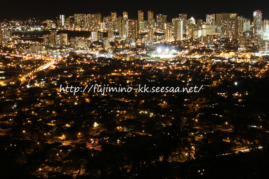 タンタラスの丘からの夜景
