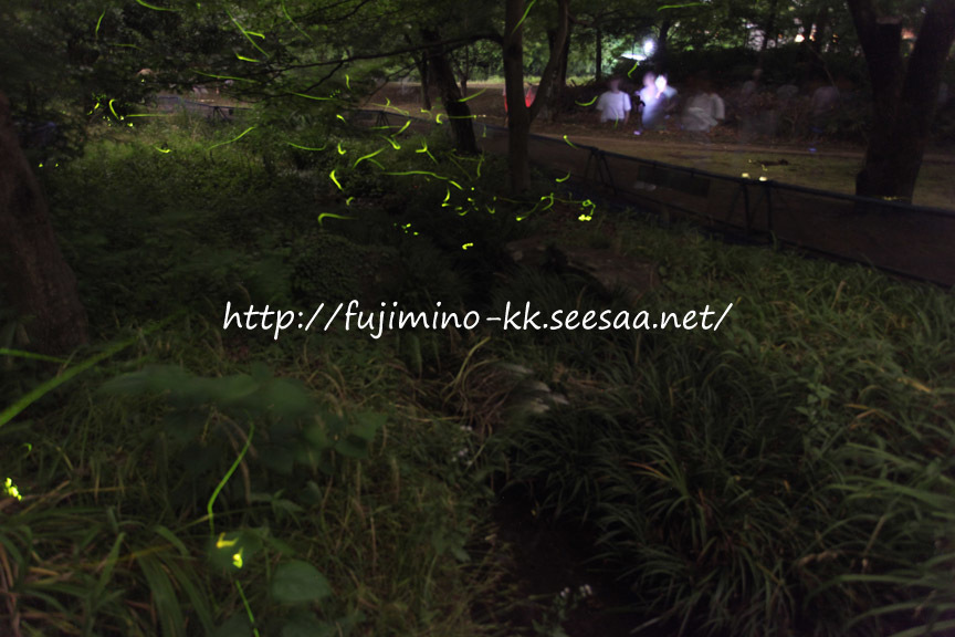 清瀬金山緑地公園